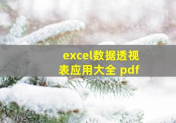 excel数据透视表应用大全 pdf